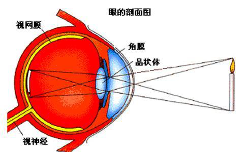 弱视改如何治疗？文中提到的两种方法可治疗儿童弱视