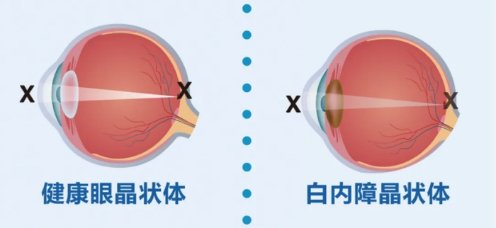 微信截图_20240610093023.png