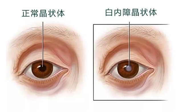 微信截图_20240508163542.png